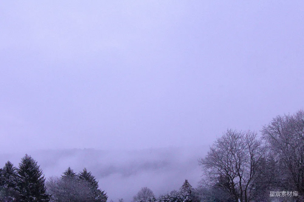 高清摄影 背景中有树的一片覆盖着积雪的田野