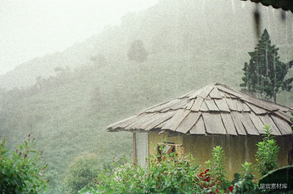 高清摄影 森林中一座小屋