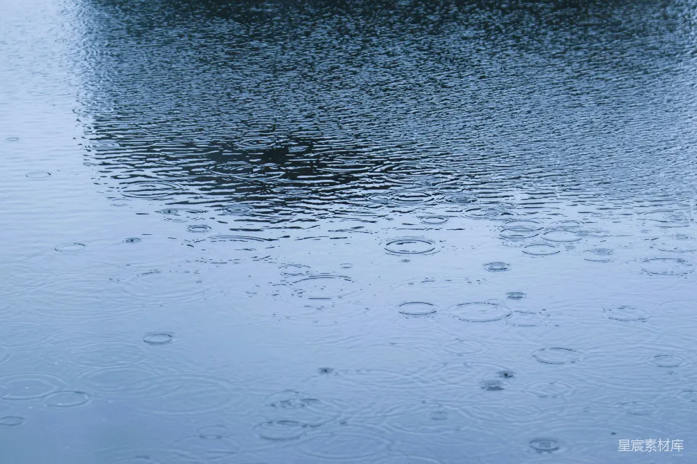 高清摄影 雨滴在平静水面激起涟漪。