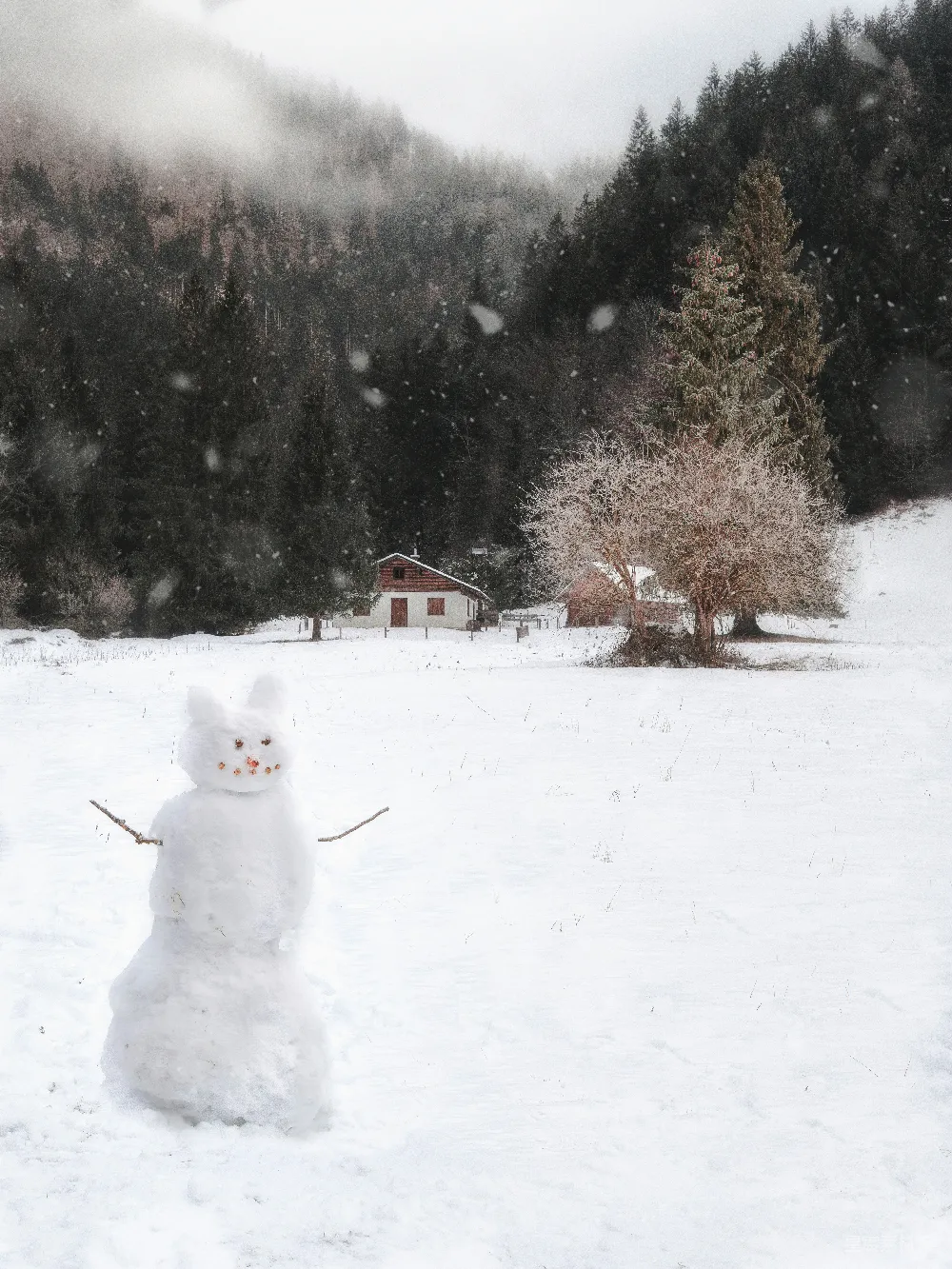 高清摄影 白雪人伫立在覆盖着积雪的地面上白天