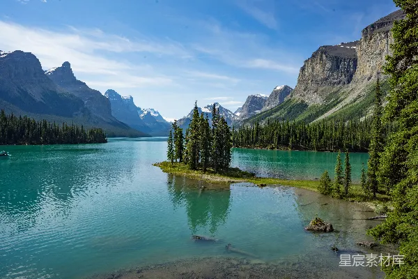 高清摄影 林中湖畔白天拍摄的近处翠绿松树自然摄影风景