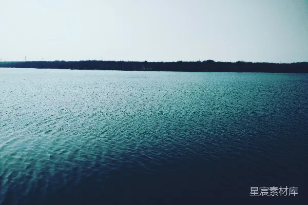 高清摄影 白天近树体的水域