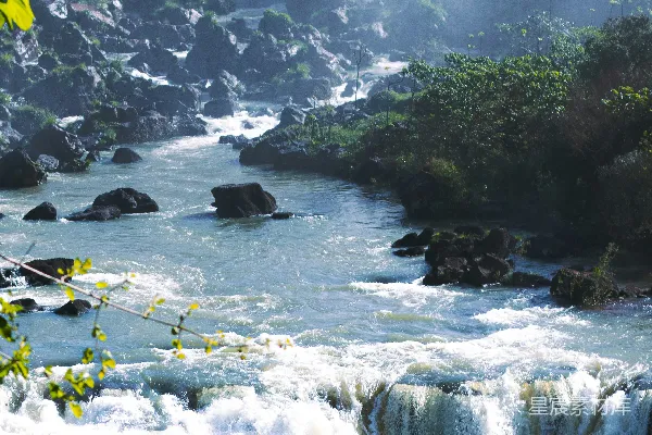 高清摄影 一条河中有岩石和树木
