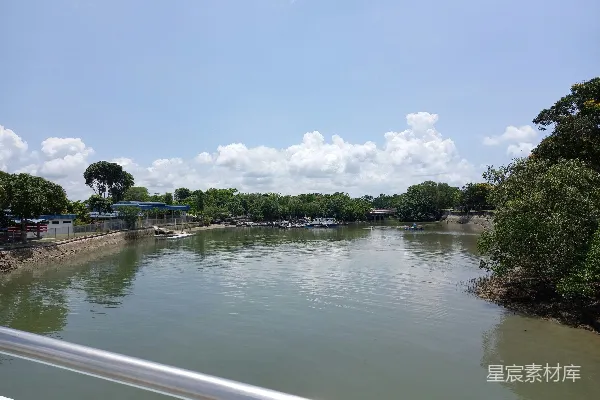 高清摄影 一片被树木和建筑环绕的水域