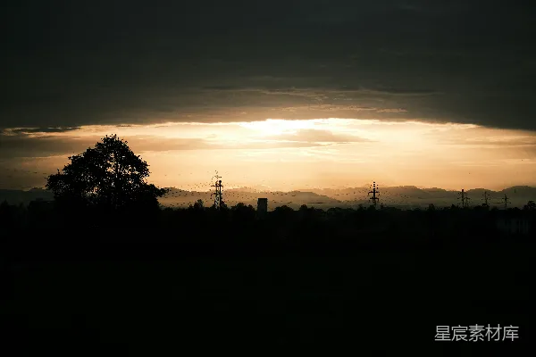 高清摄影 夕阳落在一片田野里的树后