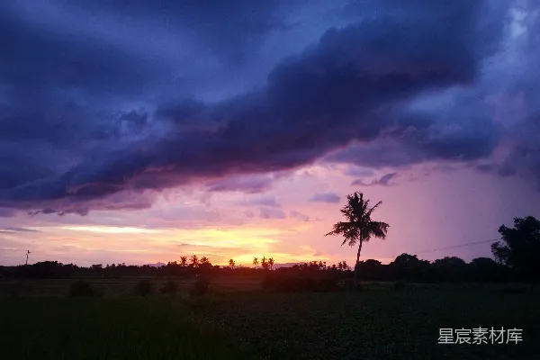 高清摄影 夕阳下的绿草地，云遮天空。