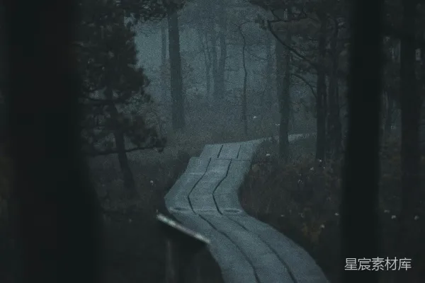 高清摄影 森林中的小径