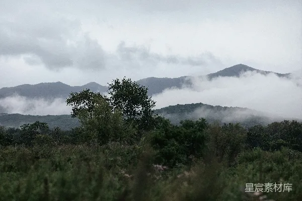 高清摄影 山峦之间低垂的云雾景象