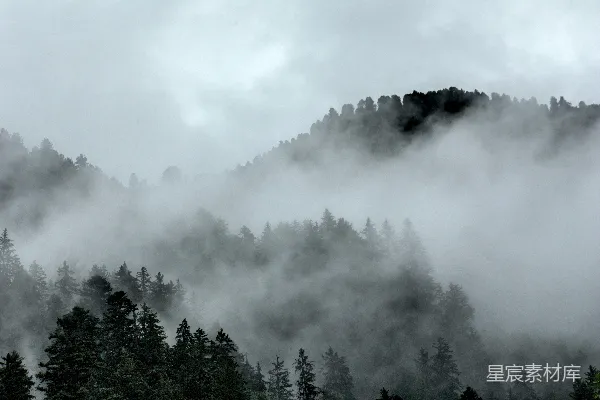 高清摄影 一座被雾笼罩的山，前景中有树木。