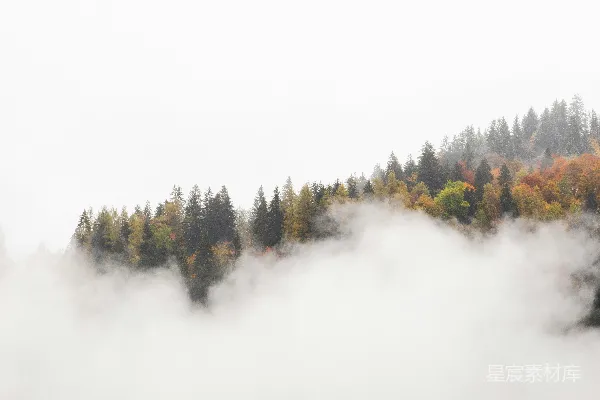 高清摄影 一座被雾笼罩的山，背景是树木。