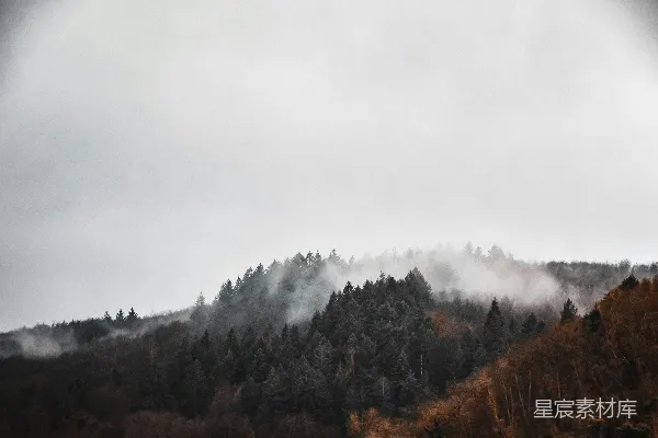高清摄影 一座被薄雾覆盖的山峦，树丛位于前景之中。