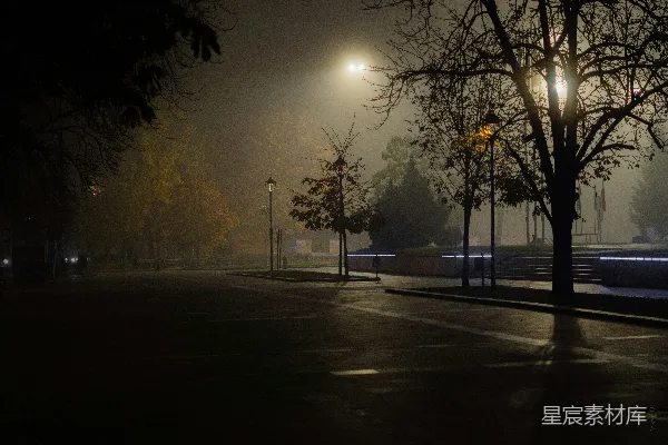 高清摄影 夜晚雾气笼罩的街道，有街灯照明。
