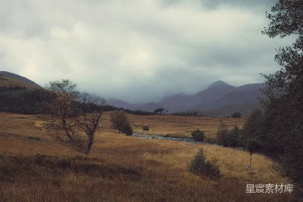 高清摄影 一片长满草的田野，溪流贯穿其中