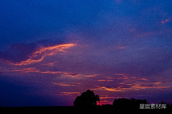 高清摄影 夕阳西下，一片田野旁有树木。