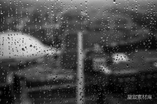 高清摄影 雨滴的特写照片