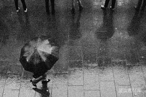 高清摄影 雨中行人撑伞而行。