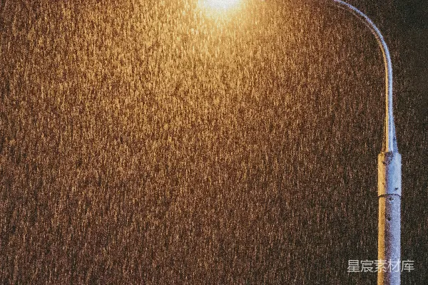 高清摄影 夜晚路灯照亮夜雨落下