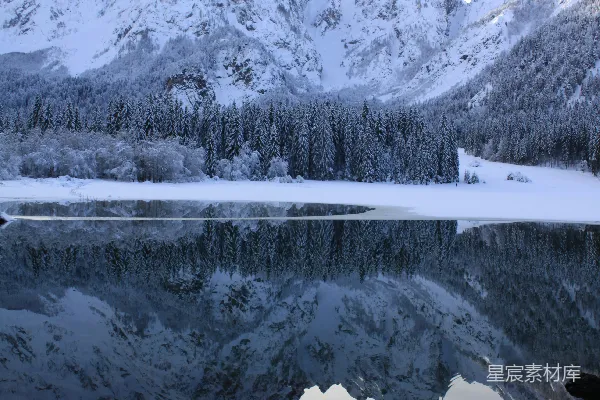 高清摄影 白天被树木环绕的有雪水域