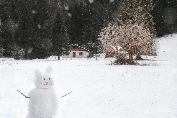 高清摄影 白雪人伫立在覆盖着积雪的地面上白天