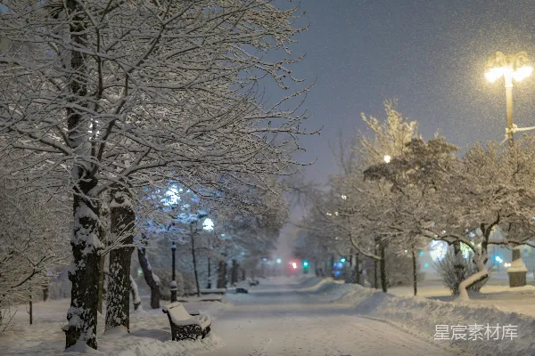 高清摄影 夜晚雪中的街道，前景中有一张长椅。