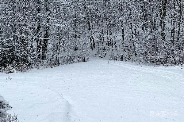高清摄影 背景为树木的雪覆盖田野