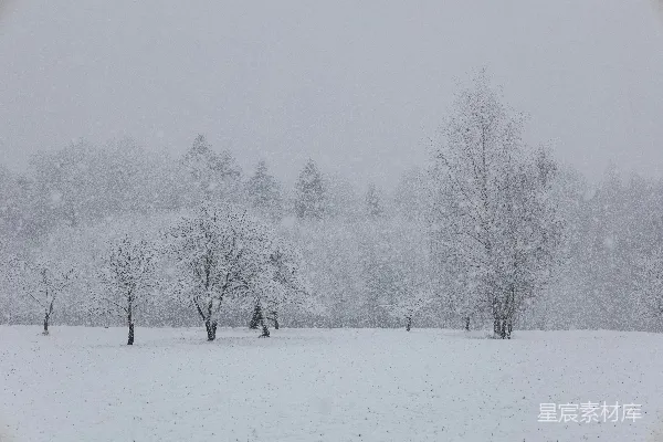 高清摄影 背景中有树木的一片雪覆盖的田野