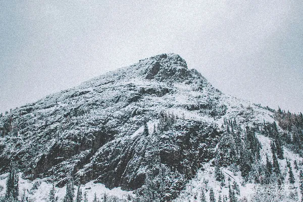 高清摄影 一座被雪覆盖的山峰紧挨着一片森林