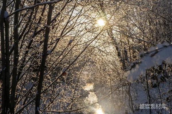 高清摄影 一条溪流穿过了覆盖着白雪的森林