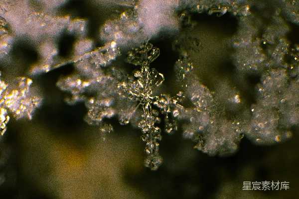 高清摄影 雪花的特写镜头