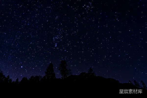 高清摄影 夜空布满了星星和树木