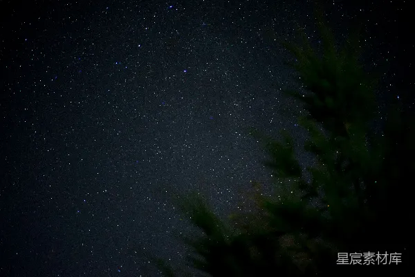高清摄影 夜空布满了星星和树木