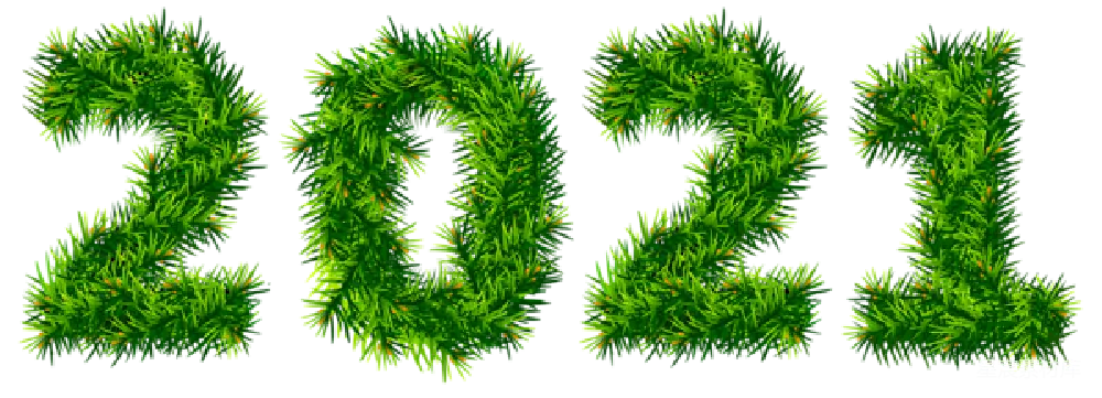 元素素材 节日装饰 数字艺术 新年 2021松枝数字艺术