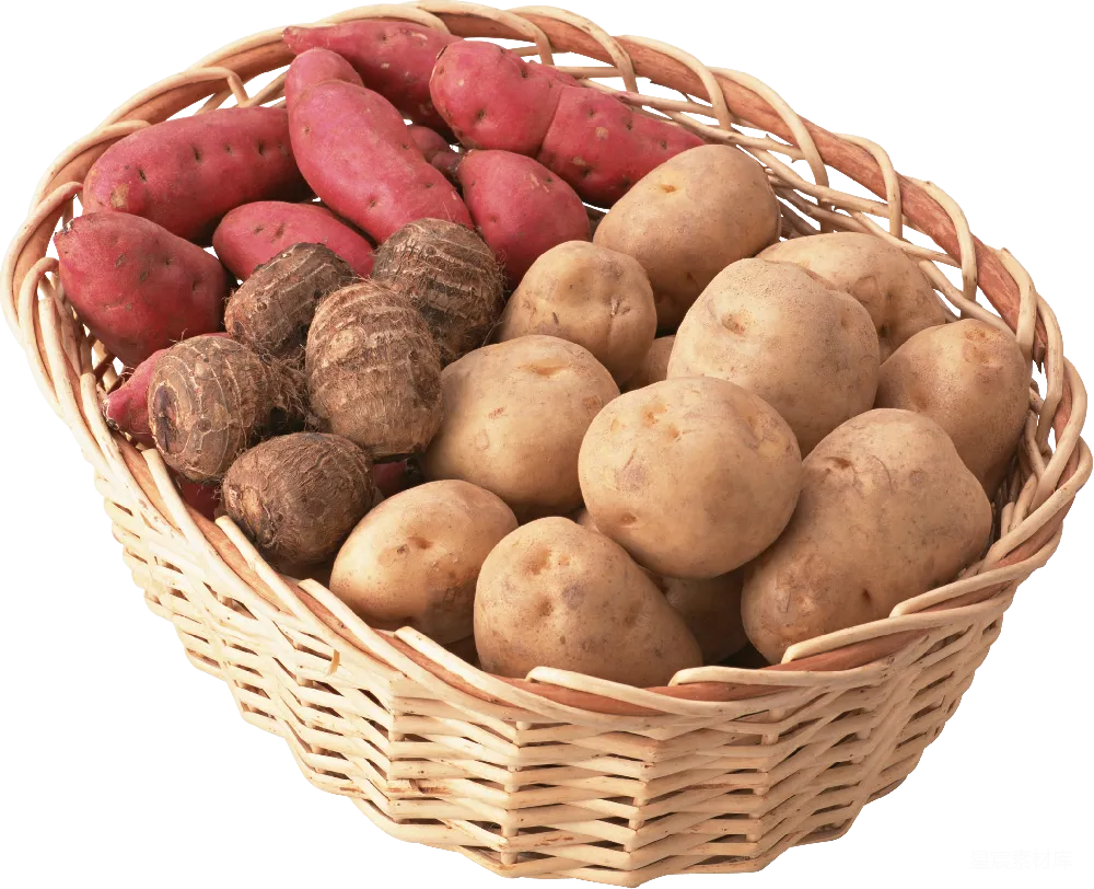 元素素材 土豆