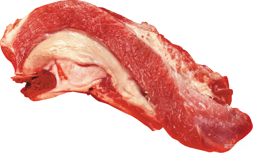 元素素材 肉