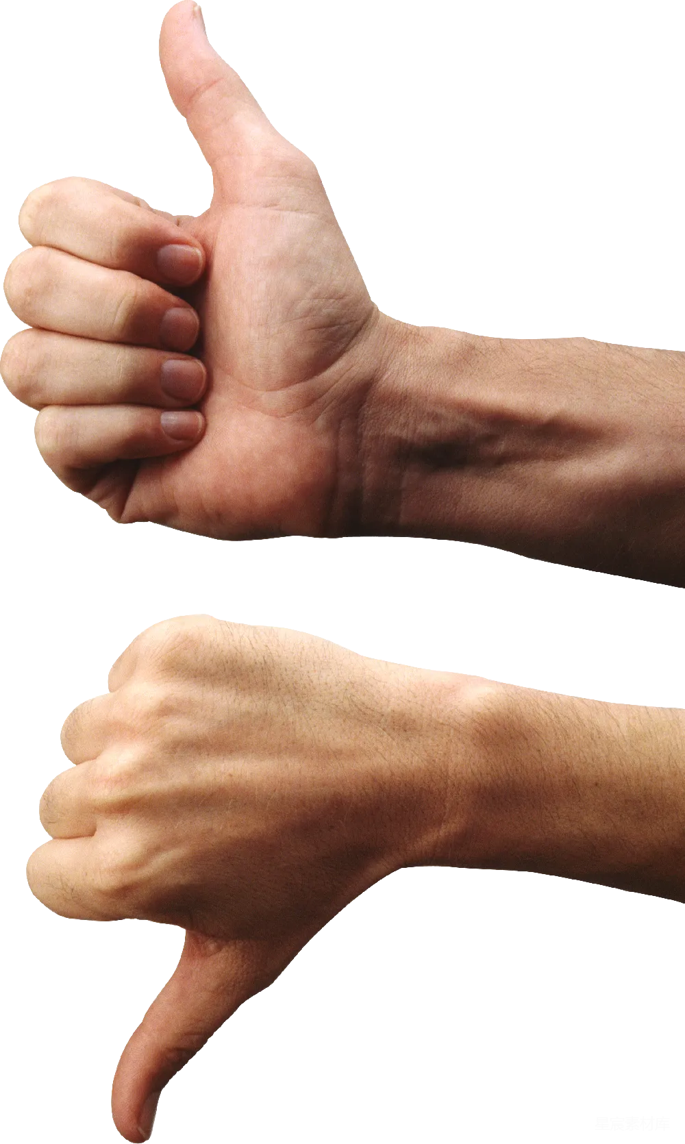 元素素材 thumbs
