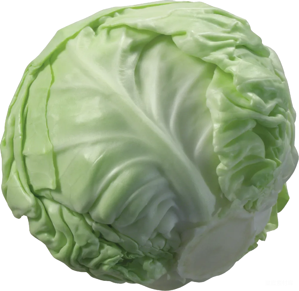 元素素材 蔬菜 食物 健康 新鲜的卷心菜