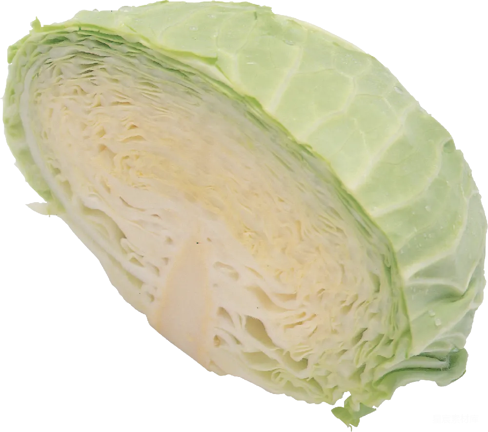 元素素材 元素 白菜