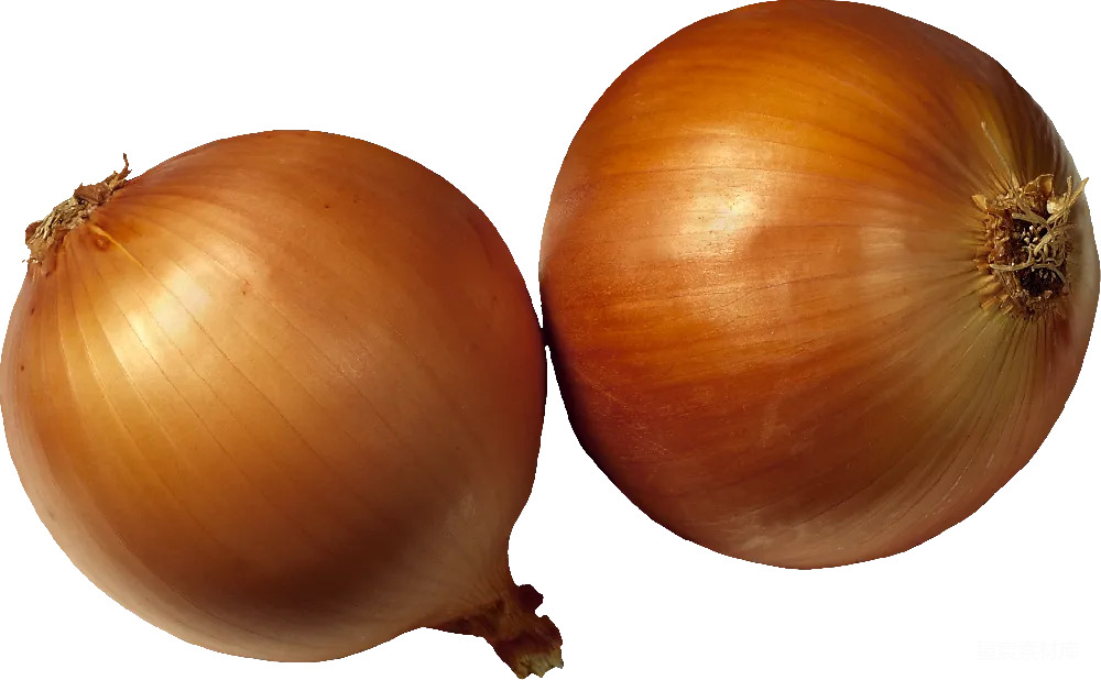 元素素材 透明