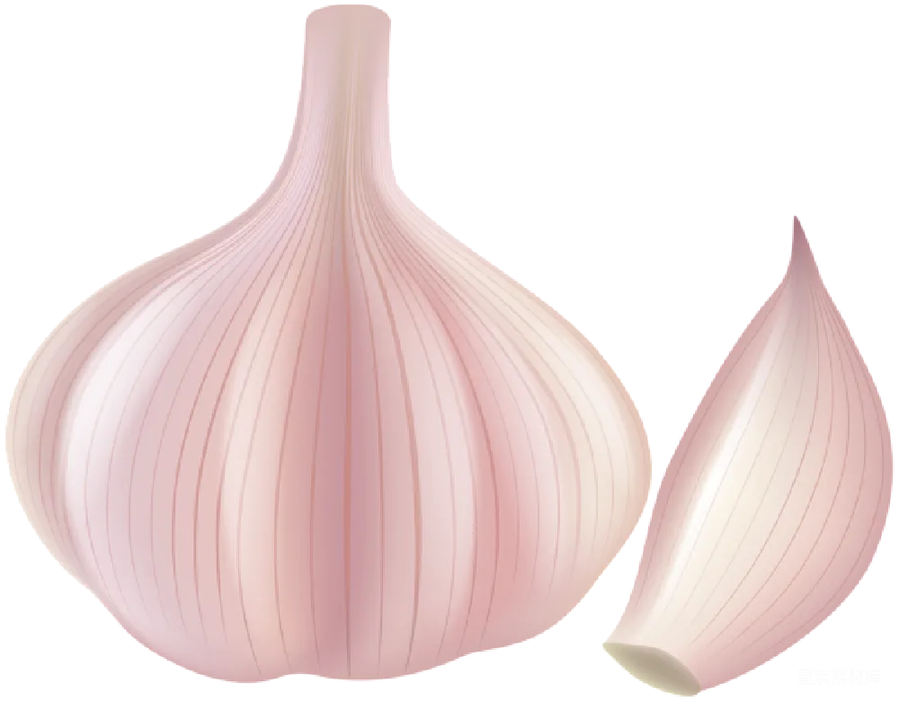 元素素材 元素 大蒜