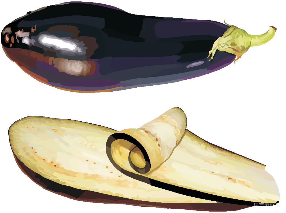 元素素材 PNG
