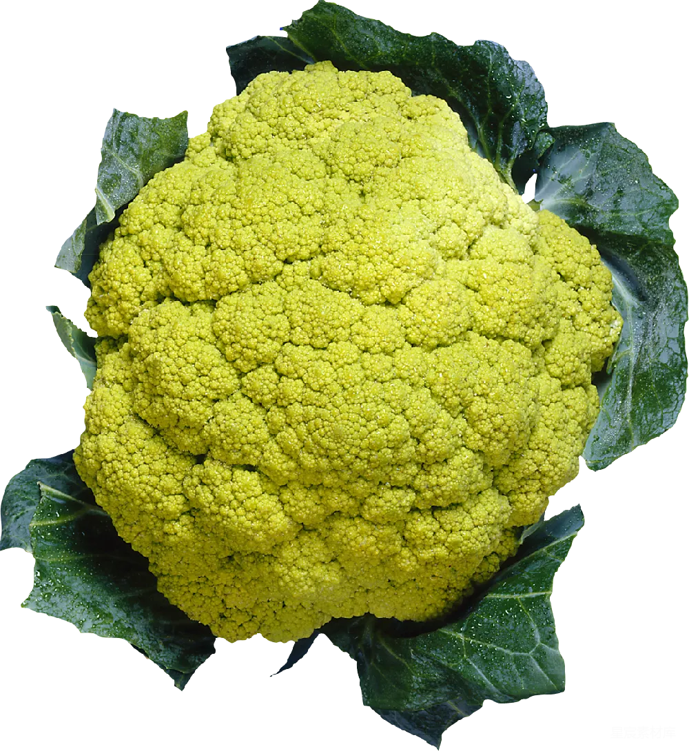 元素素材 cauliflower
