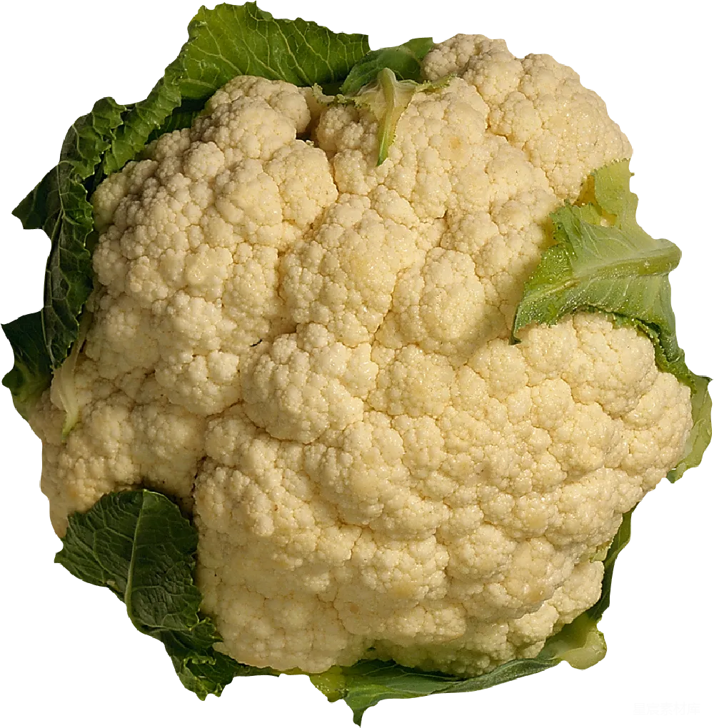 元素素材 元素 cauliflower