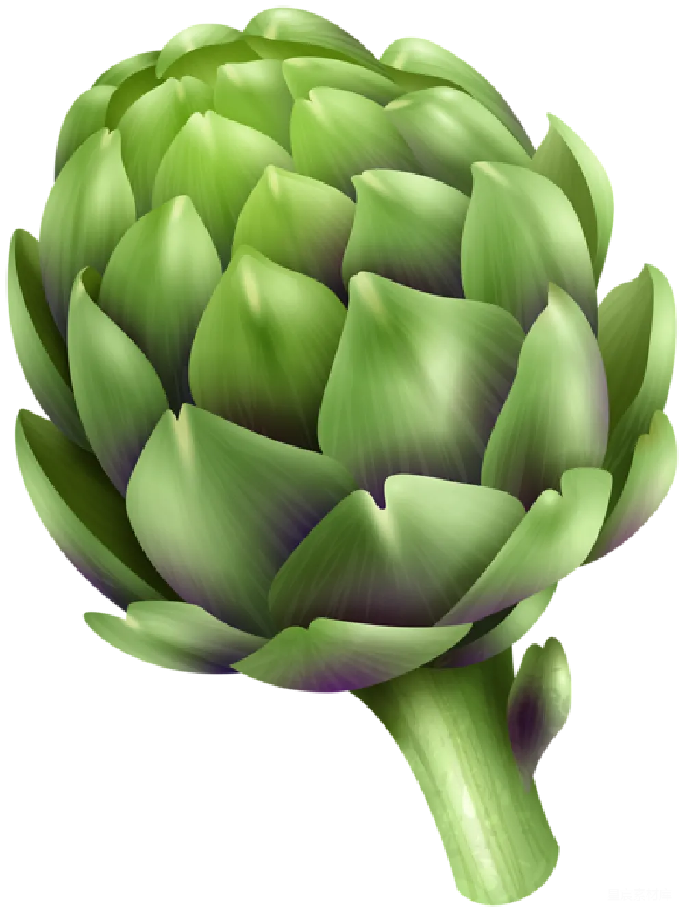 元素素材 蔬菜 绿色 自然 绿色的花椰菜