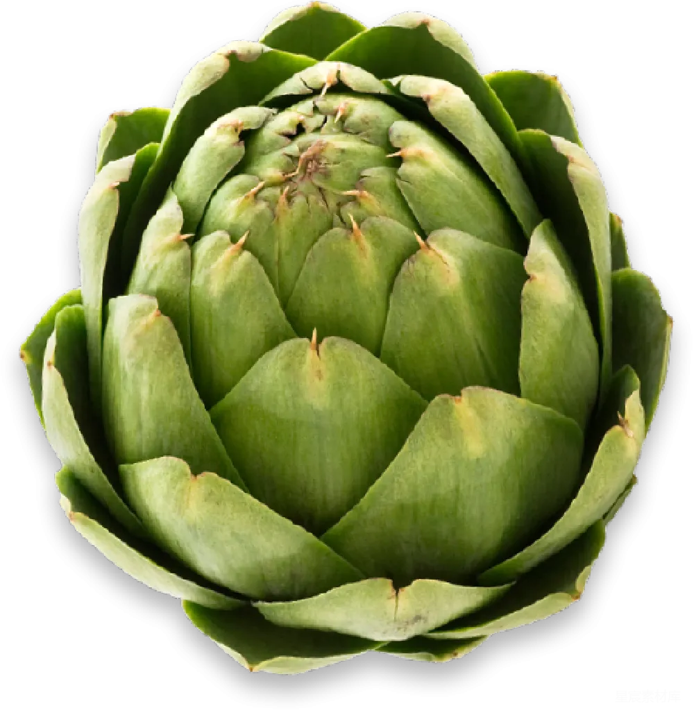 元素素材 PNG