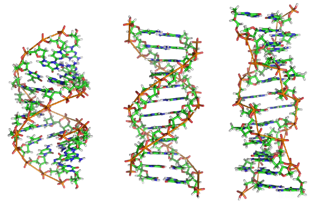 元素素材 元素 DNA