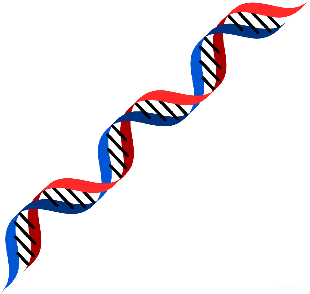 元素素材 元素 DNA