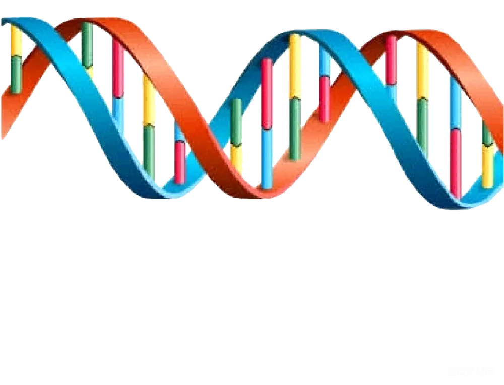 元素素材 元素 DNA