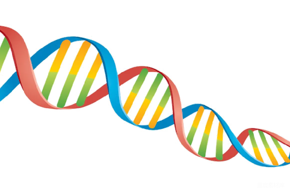 元素素材 元素 DNA