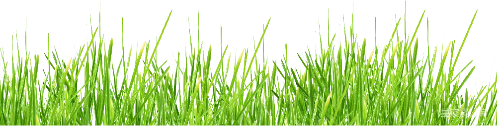 元素素材 元素 草