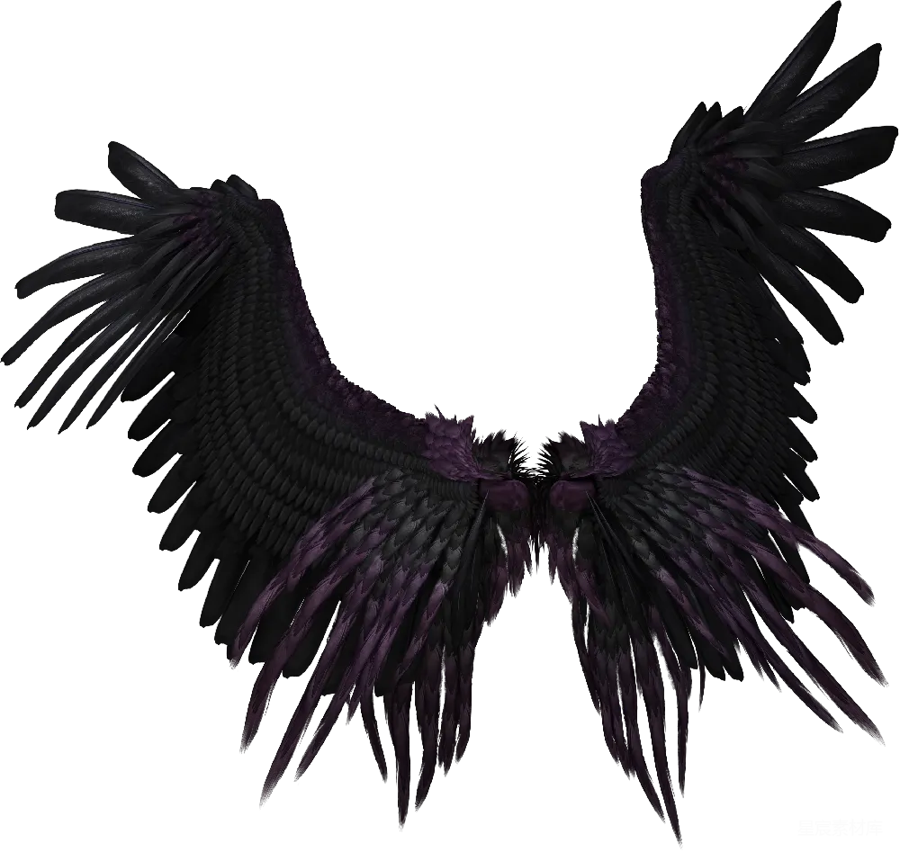 元素素材 紫色翅膀的插画艺术